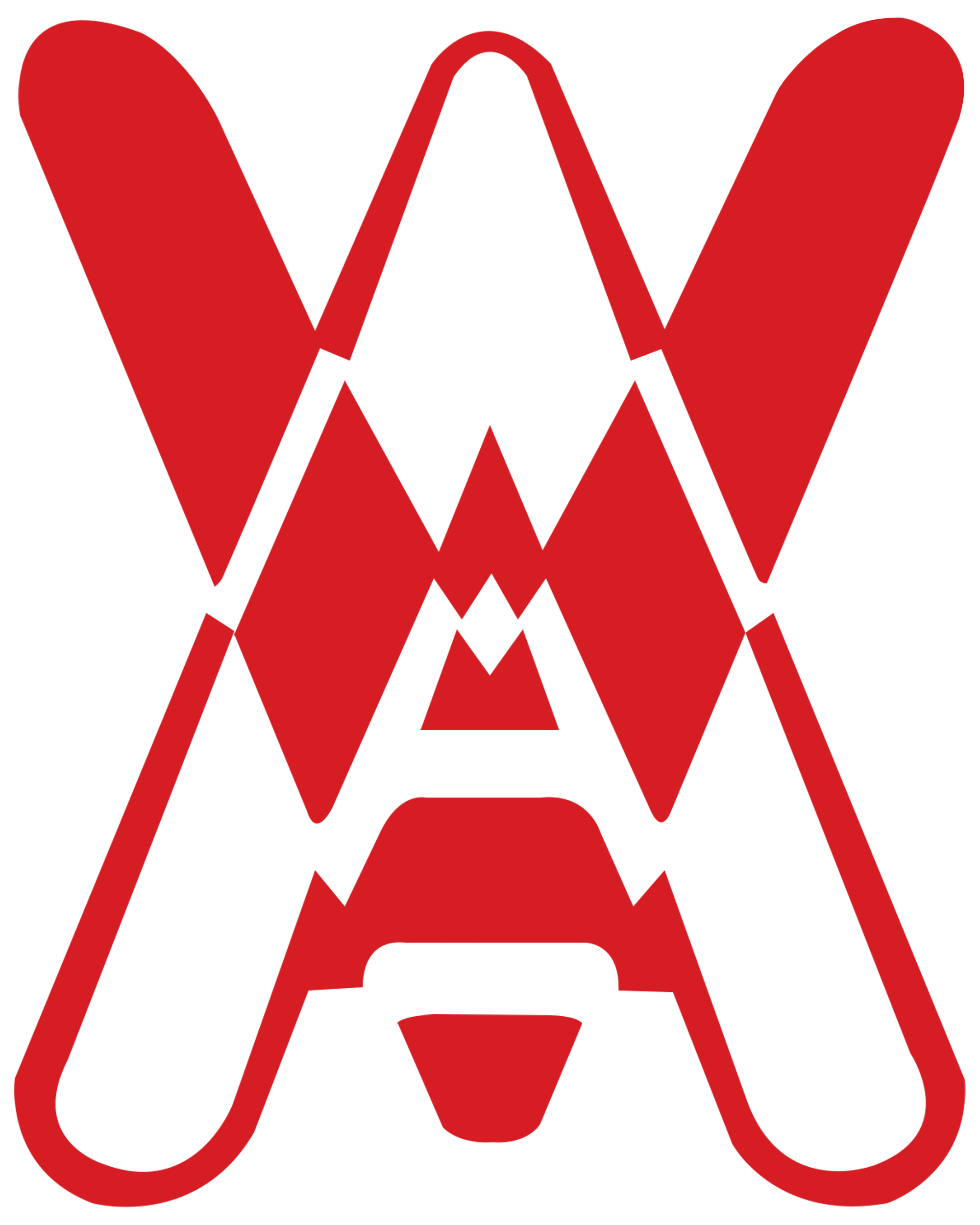 Vikash Agencies