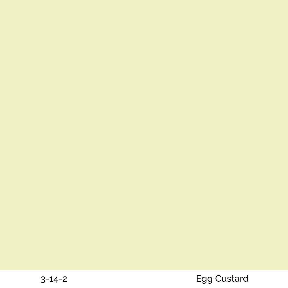 Egg Custard 3-14-2