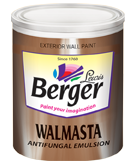 Berger Wallmasta Exterior Emulsion White