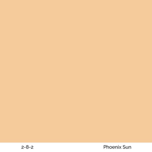 Phoenix Sun 2-8-2